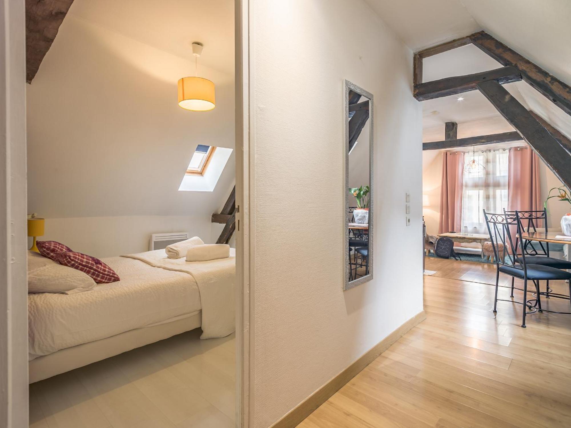 Quartier Cathedrale Centre, Wifi Et Parking - Zen Appart Troyes Room photo