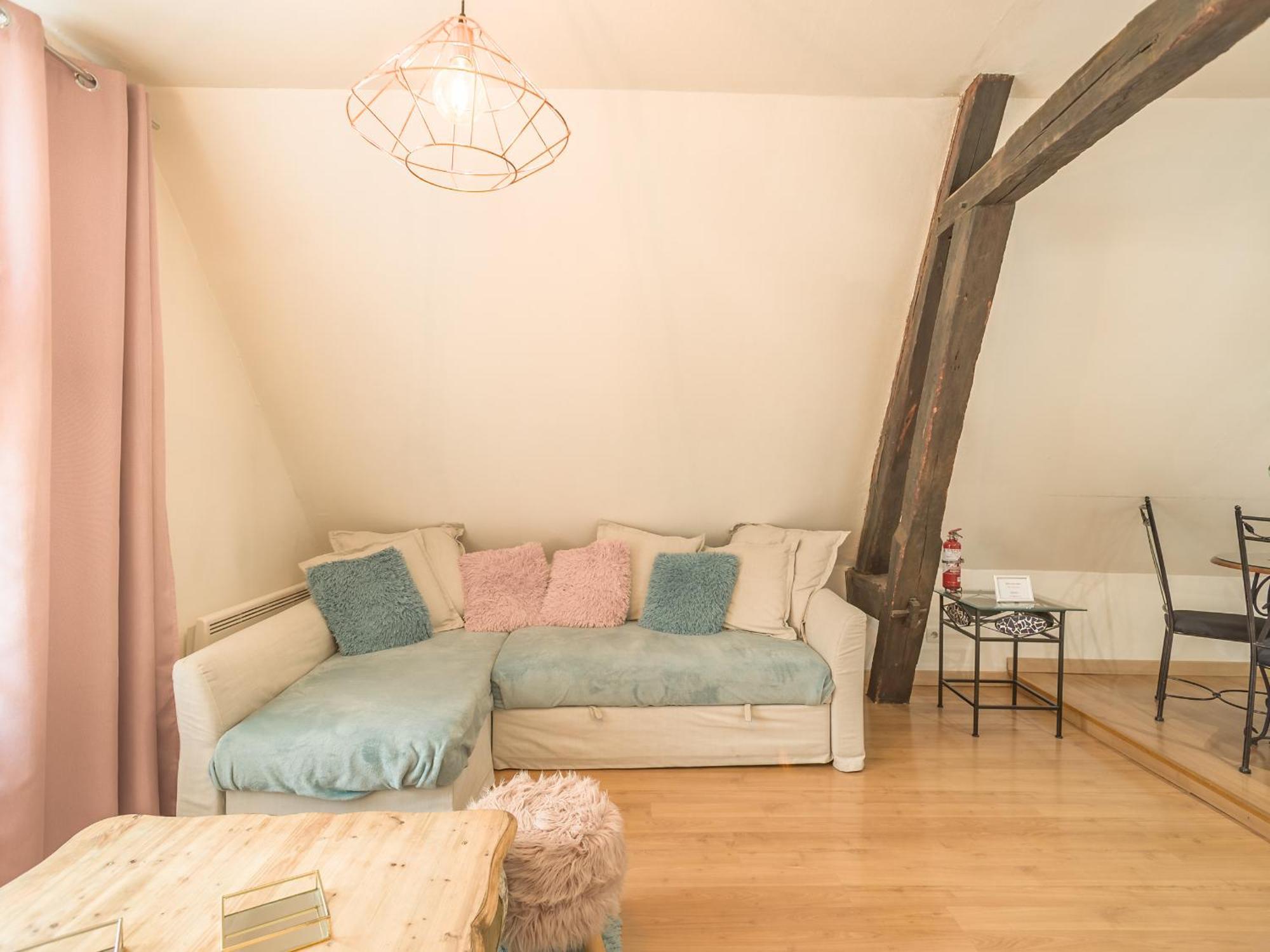 Quartier Cathedrale Centre, Wifi Et Parking - Zen Appart Troyes Room photo